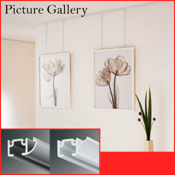ԥ㡼꡼Picture Gallery