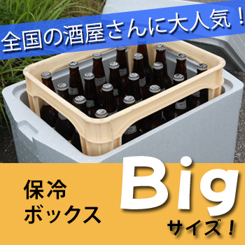 μ򲰤͵BIGܥå
