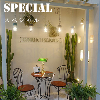 ڥ롡SPECIAL/No:G-0206_072