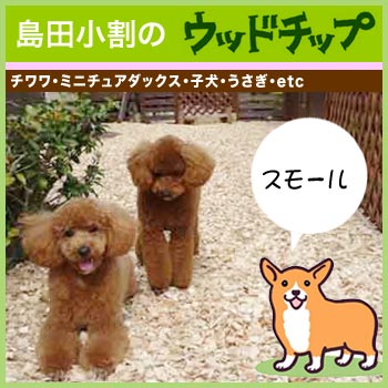 小型犬用のスモールウッドチップ　ひのき、青森ひば、杉/No:G-0304_004