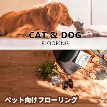 �ڥåȸ����ե�����󥰡�CAT & DOG