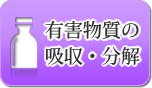 有害物質の吸収・分解