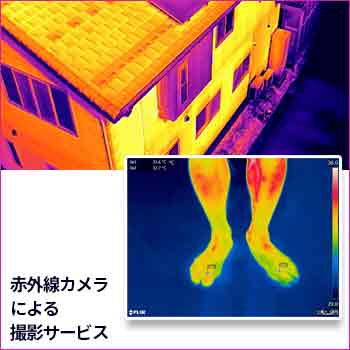 ֳˤ뻣ƥӥ/No:G-0498_025