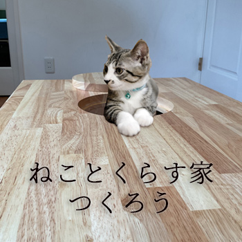 ねことくらす家つくろう／セブン工業