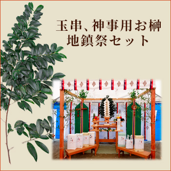 ̶㱤硢úѤúץåȡ