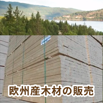 欧州産木材の販売/No:G-0517_011