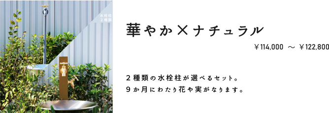 ڤ䤫ߥʥ롡114,000122,800