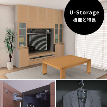 ΥƥǼU-Storage׵ǽĹ