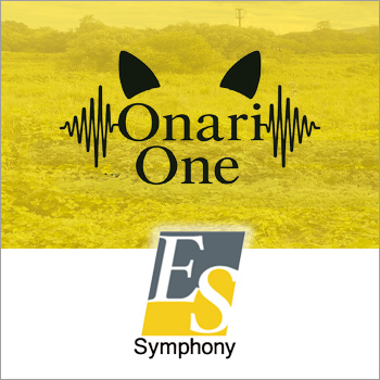 ������� ES����ե��ˡ�