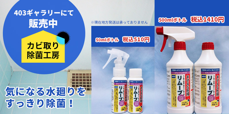 Ӽꡦݹ˼ɥ硼롼
