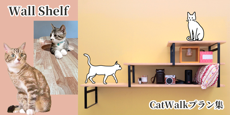 ��Wall Shelf�פǤĤ��뼫ʬ�餷��CatWalk