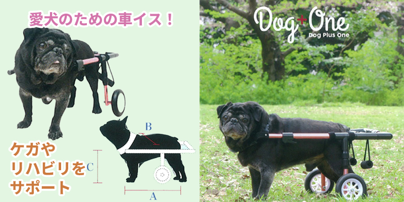 Dog + One���ɥå��ץ饹���
